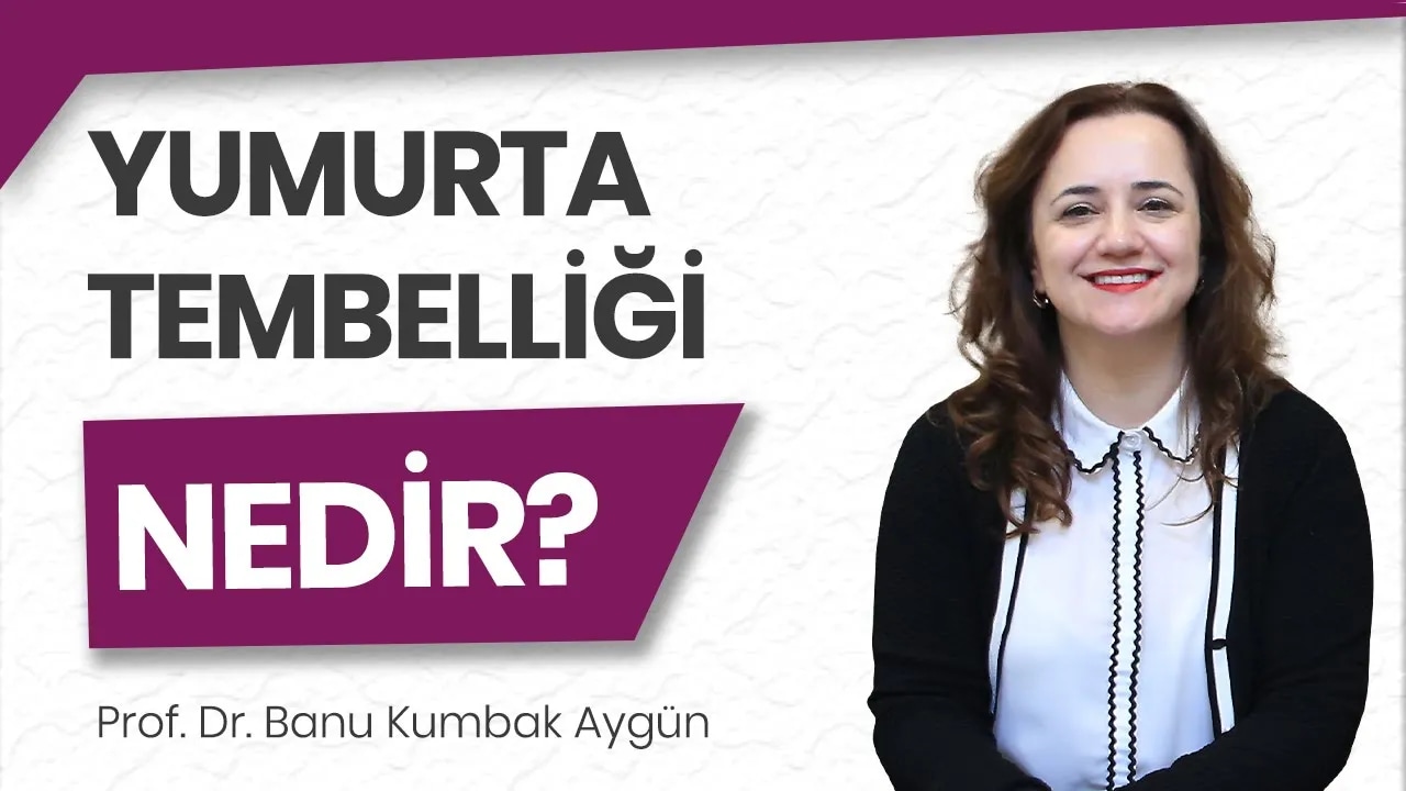 Yumurta tembelliği ne demektir?